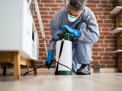 About Lady Lake Integrated Pest Management - integrated pest management experts in Lady Lake